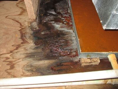 About BlueFleet Pros - water damage restoration experts in Thousand Oaks